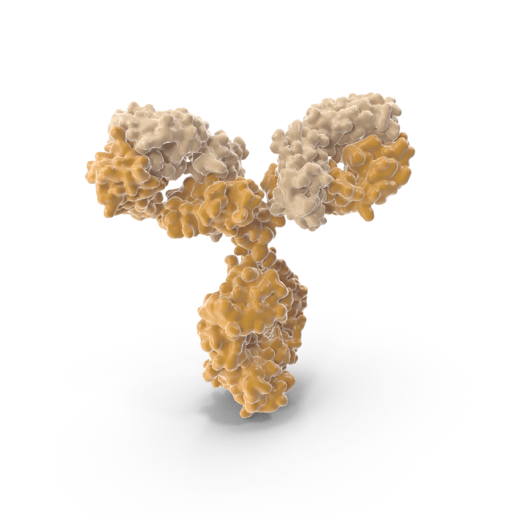 Bax (Apoptosis Marker) Mouse Monoclonal Antibody